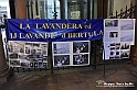 VBS_9929 - Gruppo Storico La Lavandera e ij Lavandè 'd Bertula Visita animata a Palazzo Cisterna